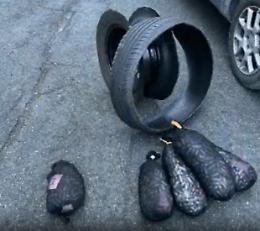 Cocaina ed eroina nelle ruote: arrestato al confine (video)