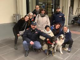 Cagnolina scomparsa ritrovata tra i binari dal pastore Spartacus