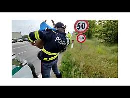 Capriolo intrappolato in autostrada salvato dalla polizia stradale