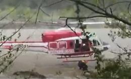 Cane rischia di annegare, il video del salvataggio dei vigili del fuoco