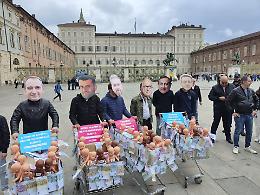 Bambolotti, banconote, carrelli e sindaci “arcobaleno”. Il flash-mob di Pro Vita per dire: «No all’utero in affitto»