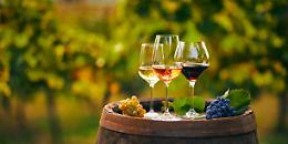 La storia di Flavio Rossetto e la passione per la terra e i vigneti
