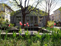Scienza e arte all’Orto Botanico: l’Università di Torino e CinemAmbiente