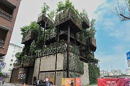 Il bosco urbano di San Salvario che scalda Torino: è il primo in Europa