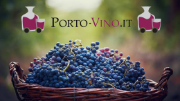 PORTO-VINO, dalle migliori cantine vini di qualità direttamente a casa tua