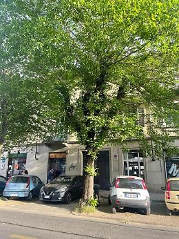 Il flash mob dei cittadini: non abbattete gli alberi di corso Belgio
