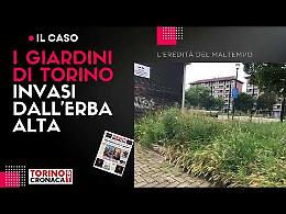 Giardini sommersi e panchine nascoste, dopo il maltempo è emergenza erba alta - IL VIDEO