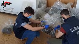 La marijuana light nei negozi di Torino era droga vera. Maxi sequestro da 18 milioni di euro