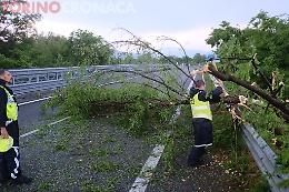 Temporale su Torino e provincia, evacuato Decathlon a Grugliasco. Un albero caduto sulla statale 24 a Collegno 