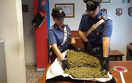 La droga viaggiava nei camion da Barcellona a Torino. Trafficanti traditi da un "pizzino" 
