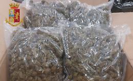 Arrestati due ragazzi incensurati con 100 chili di droga
