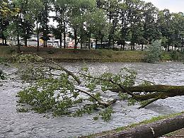 Vinovo devastata da una bomba d'acqua: alberi sradicati e strade allagate 