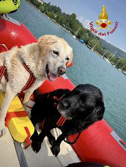 Cani e padrone "salvati" dai vigili del fuoco nel lago di Viverone