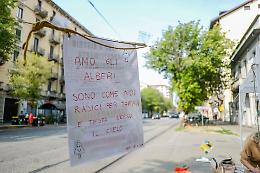 Scontro Pd-M5s su paternità del progetto dei viali di corso Belgio e i cittadini dormono tra gli alberi