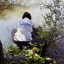 Inquinamento, il lago Piccolo di Avigliana a sorpresa supera tutti i test