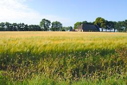 Reinventarsi per il successo: la storia di Devis Rascano nel settore immobiliare agricolo