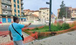 Appello da corso Umbria: alberi più grandi contro le alte temperature