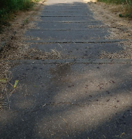 Il giallo della trans pugnalata alla Pellerina: c’è il sangue ma di lei nessuna traccia