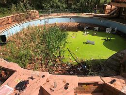 C'era una volta la storica piscina: «Ora va abbattuta e ricostruita»