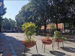 L’appello per l’area pedonale «Perché non riaprirla al parcheggio? Ci avete tolto 40 posti»