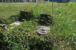 Al cimitero l'erba si mangia le tombe. L'ira dei parenti dei morti