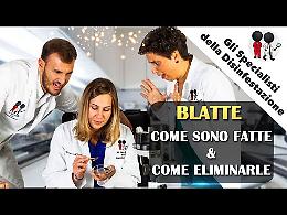 Torino è invasa dalle blatte. Portano malattie, ecco come eliminarle (IL VIDEO )