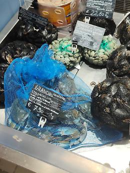 Il granchio blu è arrivato a Torino
