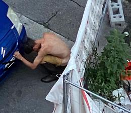 Torino: danneggia le auto parcheggiate e fa i bisogni in mezzo alla strada