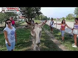 Un paradiso da scoprire sull’isolone di Bertolla tra animali e tanto verde