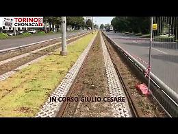 Nasce la prima corsia tramviaria verde di Torino, ecco dove si trova e a cosa serve - IL VIDEO