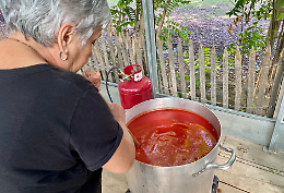 Tutti pazzi per la salsa di pomodoro: così la tradizione diventa social 