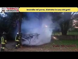 Incendio al parco, clochard abusivo distrugge la "casa dei gatti" - IL VIDEO