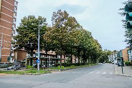 Pista ciclabile, approvato il nuovo progetto