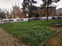 Panchine rotte e vegetazione incolta, piazza Benefica sembra una  giungla