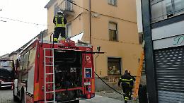 Incendio in un alloggio: all'interno tartarughe, conigli, gatti e persino una cavia