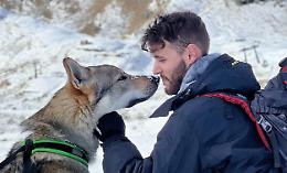Distrutto dal Covid e salvato da un lupo: ora Carlo e Thor scalano le montagne