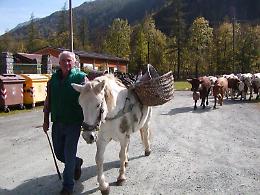 A Usseglio la transumanza diventa una festa