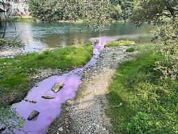 Bomba ecologica nel Po, il fiume si colora di viola
