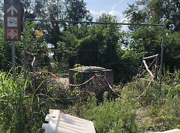 Vandali, ponti chiusi e alberi morti sulla pista ciclabile per la Reggia