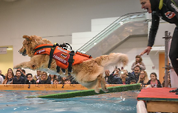 I nostri cani e gatti per due giorni protagonisti al Lingotto