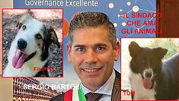 Chi adotta un cane non pagherà la tassa rifiuti per 5 anni