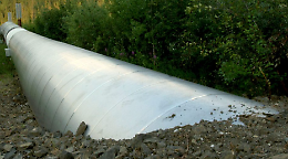 I ladri rischiano di provocare un disastro ambientale