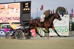 Successo e spettacolo all'Ippodromo di Vinovo: vincono Expo Wyse As ed Euphoria Bi