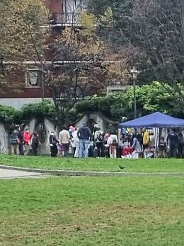 Musica alta e schiamazzi: al parco si fa festa senza permessi 