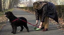 Il cane fa i "bisogni" in strada? A Torino nessuno multa i padroni incivili 