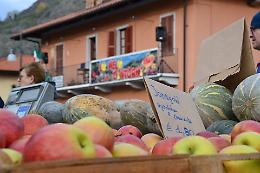 Domenica di sapori a Caprie con la mostra mercato della Mela e le delizie locali da scoprire