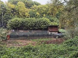 Palafitte di due piani, pneumatici e orti abusivi: «Il Sangone è terra di nessuno»