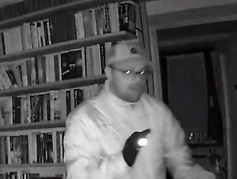 Ecco il video che mostra i volti dei topi d'appartamento 