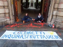 Gli animalisti tirano vernice contro la Coldiretti