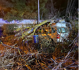 Paura a Venaria: un albero crolla su tre auto in via Paganini